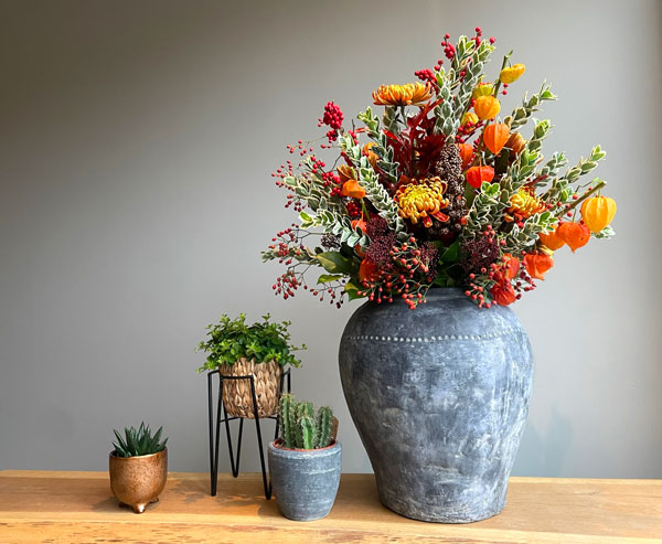 Euonymus White Spire | Natuurlijke schoonheid