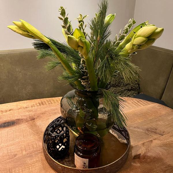  Euonymus White Spire op tafel